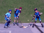 training1.gif